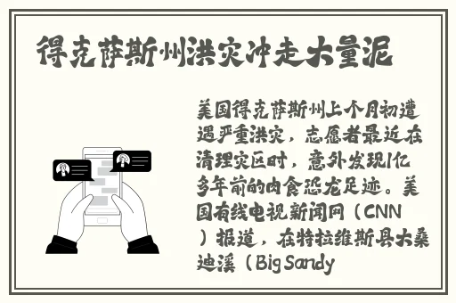 91果冻制片厂苏小小